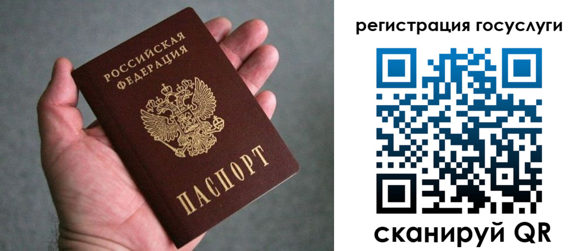 прописка поиск в Братске